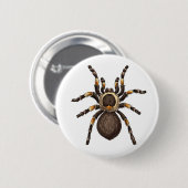 Tarantula Button (Vorne & Hinten)