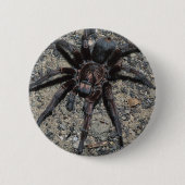 Tarantula Button (Vorderseite)