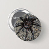 Tarantula Button (Vorne & Hinten)