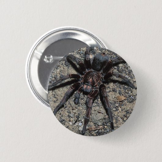Tarantula Button (Vorne & Hinten)