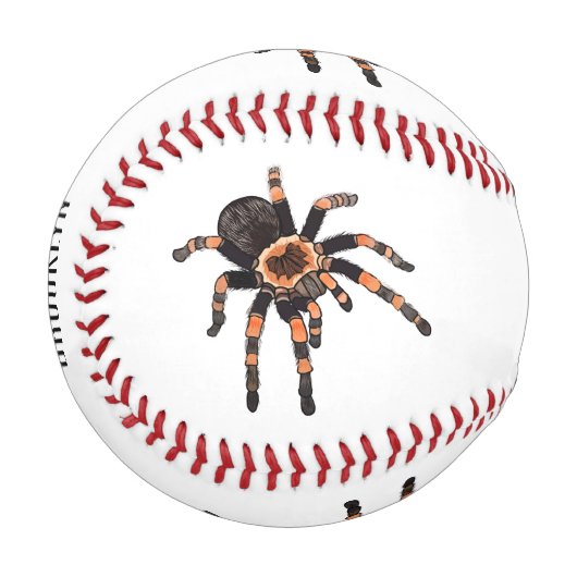 Tarantula-Cartoon Baseball (Vorderseite Links)