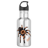 Tarantula-Cartoon Edelstahlflasche (Vorderseite)