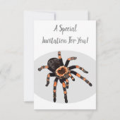 Tarantula-Cartoon Einladung (Rückseite)