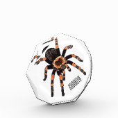 Tarantula-Cartoon Fotoblock (Links)