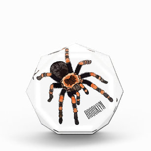 Tarantula-Cartoon Fotoblock