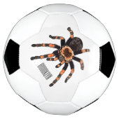 Tarantula-Cartoon Fußball (Gedreht)