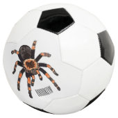 Tarantula-Cartoon Fußball (Dreiviertel)