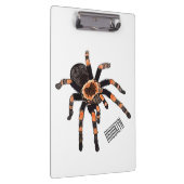 Tarantula-Cartoon Klemmbrett (Rechts)