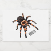Tarantula-Cartoon Lebensmitteletikett (Einzelnes Label)