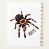 Tarantula-Cartoon Planer (Rückseite)