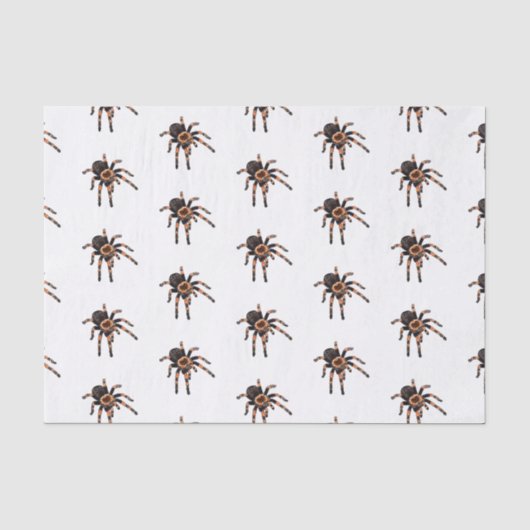 Tarantula-Cartoon Seidenpapier (Vorderseite)