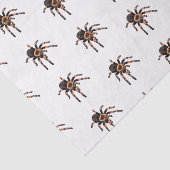 Tarantula-Cartoon Seidenpapier (Ausschnitt)