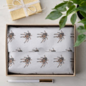 Tarantula-Cartoon Seidenpapier (Geschenk)