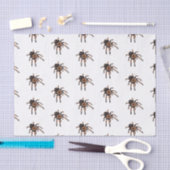 Tarantula-Cartoon Seidenpapier (Handwerk)