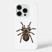 Tarantula Case-Mate iPhone Hülle (Rückseite)