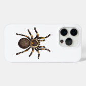 Tarantula Case-Mate iPhone Hülle (Rückseite (Horizontal))