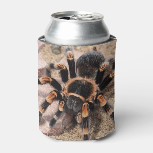 Tarantula Dosenkühler (Kanne Vorderseite)