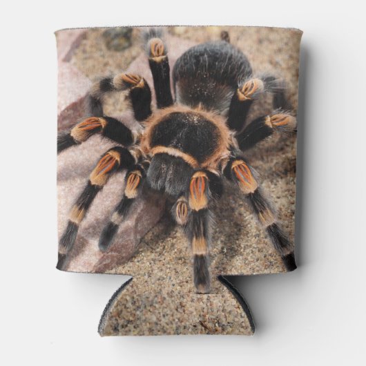 Tarantula Dosenkühler (Vorderseite)