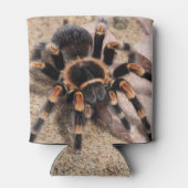 Tarantula Dosenkühler (Rückseite)