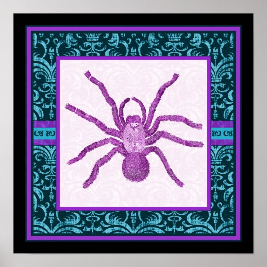 Tarantula - Elegantes Aquamarin & Fuschia Damask G Poster (Vorne)