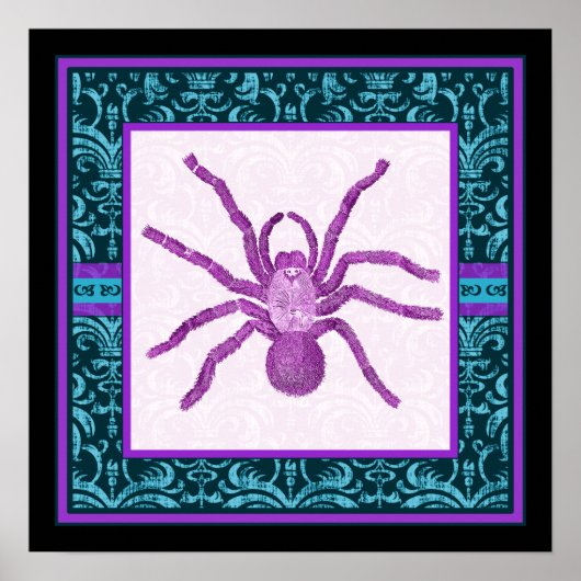 Tarantula - Elegantes Aquamarin & Fuschia Damask G Poster (Vorne)
