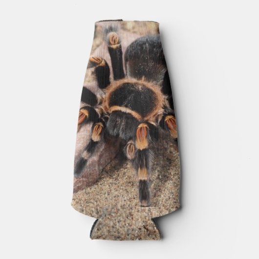 Tarantula Flaschenkühler (Vorderseite)