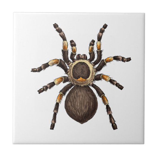 Tarantula Fliese (Vorderseite)