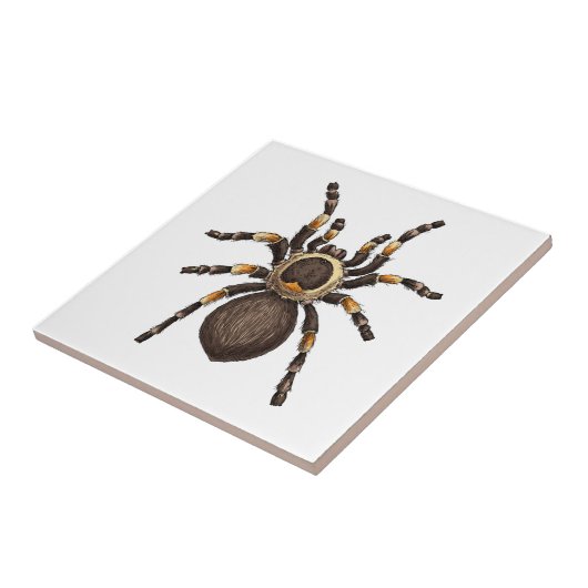 Tarantula Fliese (Seite)