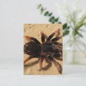 Tarantula Foto Postkarte (Stehend Vorderseite)