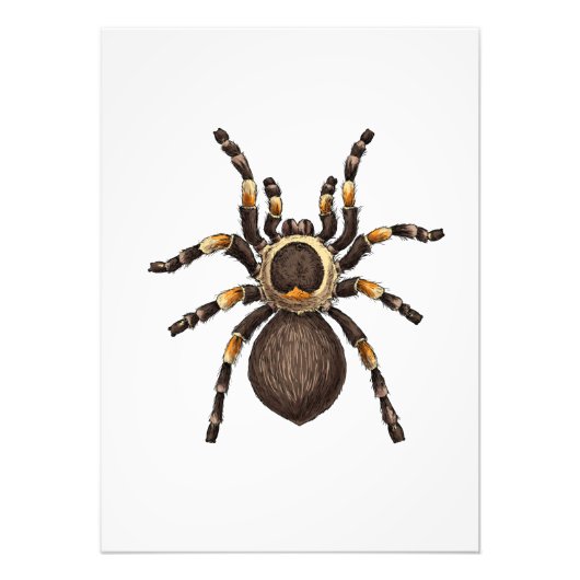 Tarantula Fotodruck (Vorne)