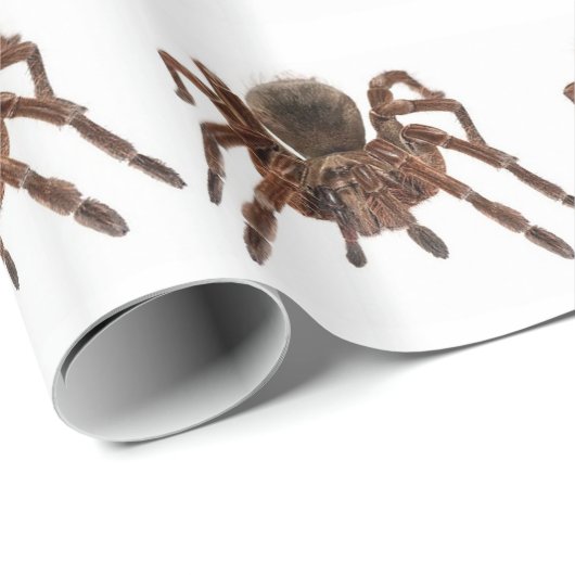 TARANTULA GESCHENKPAPIER (Rolleneckpunkt)
