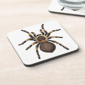 Tarantula Getränkeuntersetzer (Linke Seite)