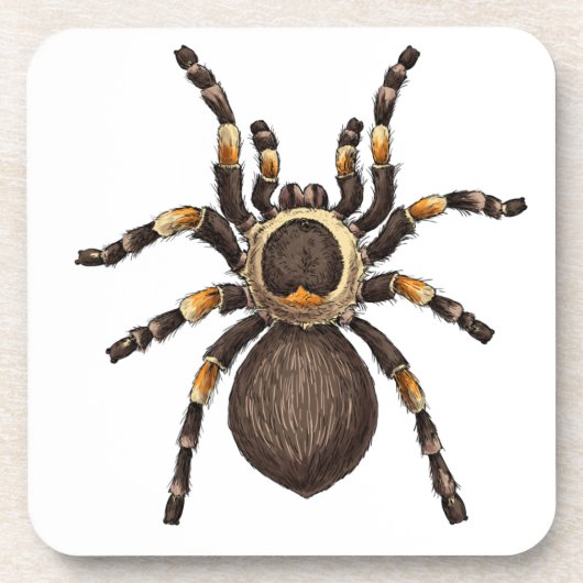 Tarantula Getränkeuntersetzer (Vorderseite)
