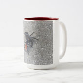 Tarantula Hawk Füttre auf einem Tarantula Zweifarbige Tasse (VorderseiteRechts)
