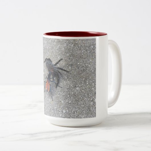 Tarantula Hawk Füttre auf einem Tarantula Zweifarbige Tasse (VorderseiteRechts)