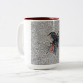 Tarantula Hawk Füttre auf einem Tarantula Zweifarbige Tasse (Vorderseite Links)