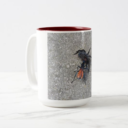 Tarantula Hawk Füttre auf einem Tarantula Zweifarbige Tasse (Vorderseite Links)