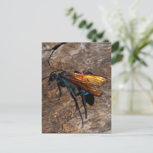 Tarantula Hawk Postkarte (Stehend Vorderseite)
