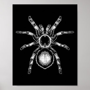 Tarantula Huge Spider Phobia Halloween Costume Ara Poster