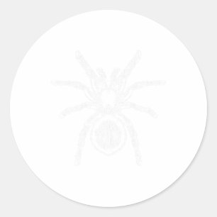 Tarantula Huge Spider Phobia Halloween Costume Ara Runder Aufkleber