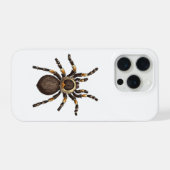 Tarantula iPhone Hülle (Rückseite (Horizontal))
