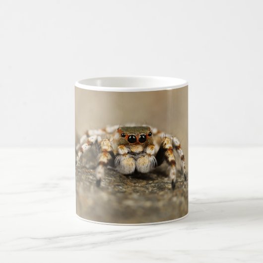 Tarantula Jumping Bird Spider phantastische Zubehö Kaffeetasse (Mittel)