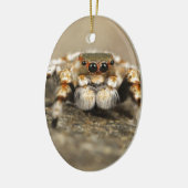Tarantula Jumping Bird Spider phantastische Zubehö Keramikornament (Links)