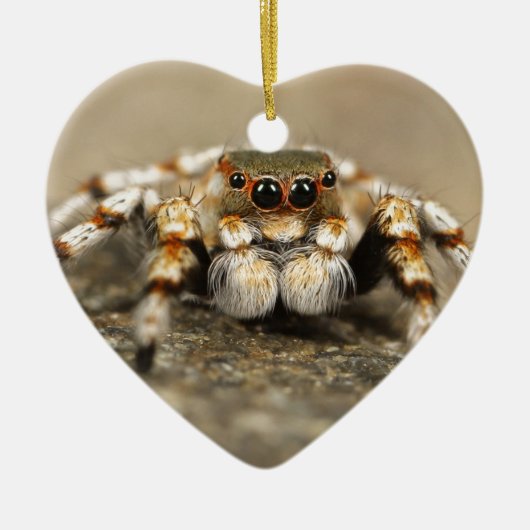 Tarantula Jumping Bird Spider phantastische Zubehö Keramikornament (Vorne)