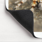 Tarantula Jumping Bird Spider phantastische Zubehö Mousepad (Ecke)
