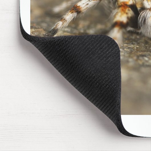 Tarantula Jumping Bird Spider phantastische Zubehö Mousepad (Ecke)