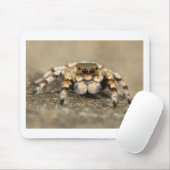 Tarantula Jumping Bird Spider phantastische Zubehö Mousepad (Mit Mouse)