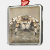 Tarantula Jumping Bird Spider phantastische Zubehö Ornament Aus Metall (Links)
