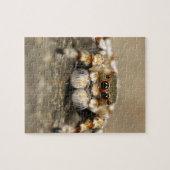 Tarantula Jumping Bird Spider phantastische Zubehö Puzzle (Horizontal)