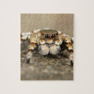 Tarantula Jumping Bird Spider phantastische Zubehö Puzzle